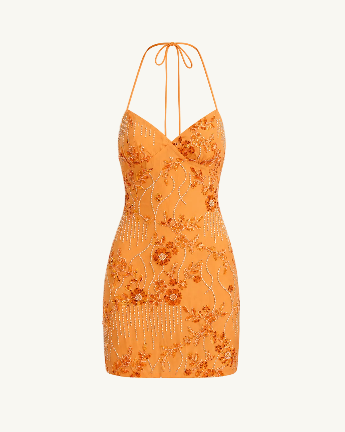 Embroidered Mini Dress