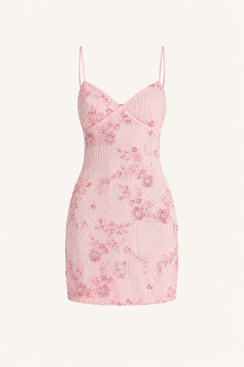 Embroidered Mini Dress