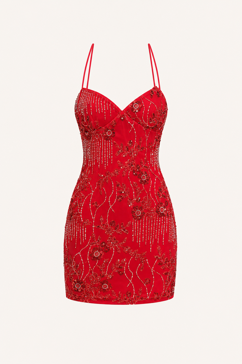 Embroidered Mini Dress