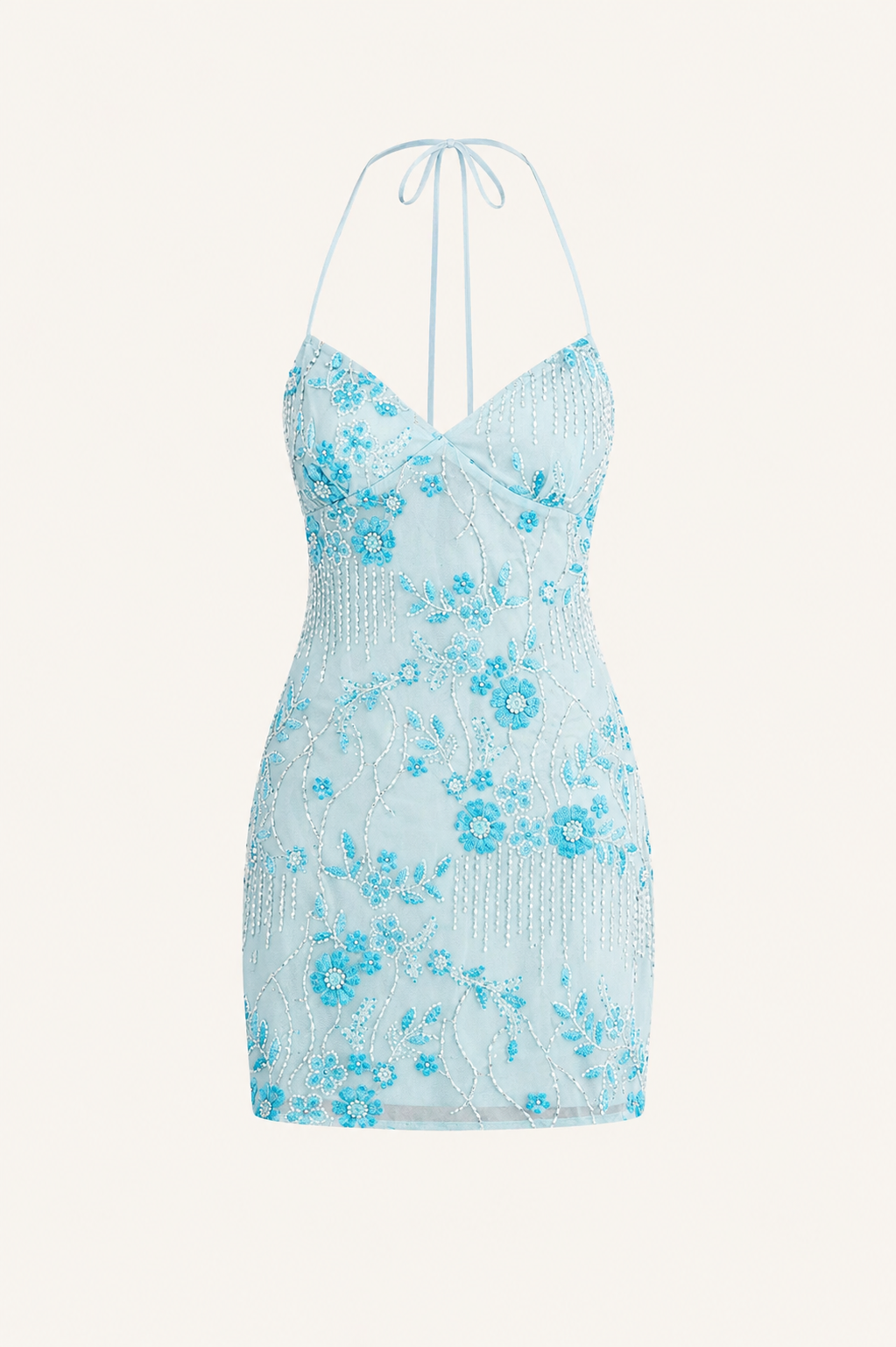 Embroidered Mini Dress