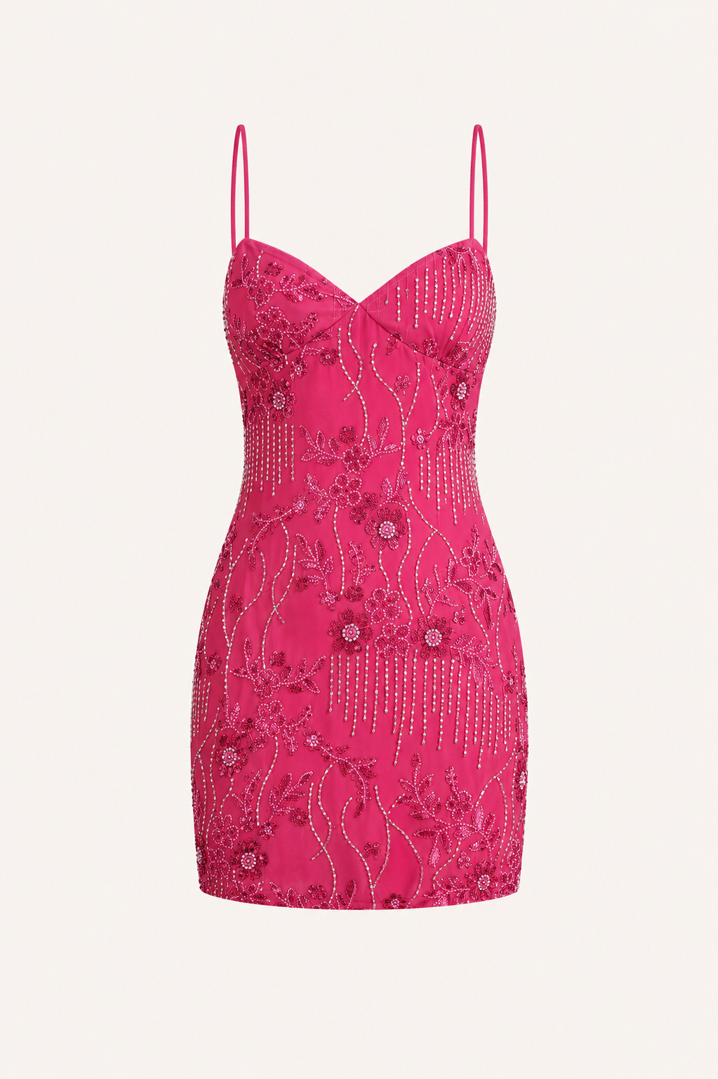 Embroidered Mini Dress