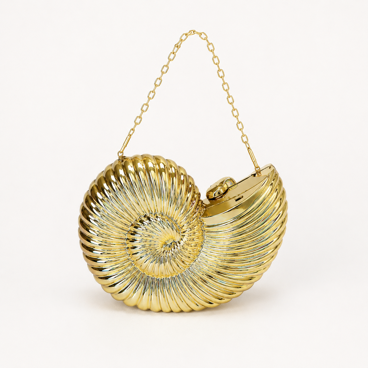 Shell Bag
